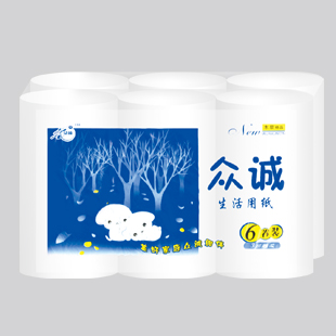 河北專業(yè)衛(wèi)生紙廠家